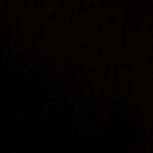 Meet your Posher, Wanda